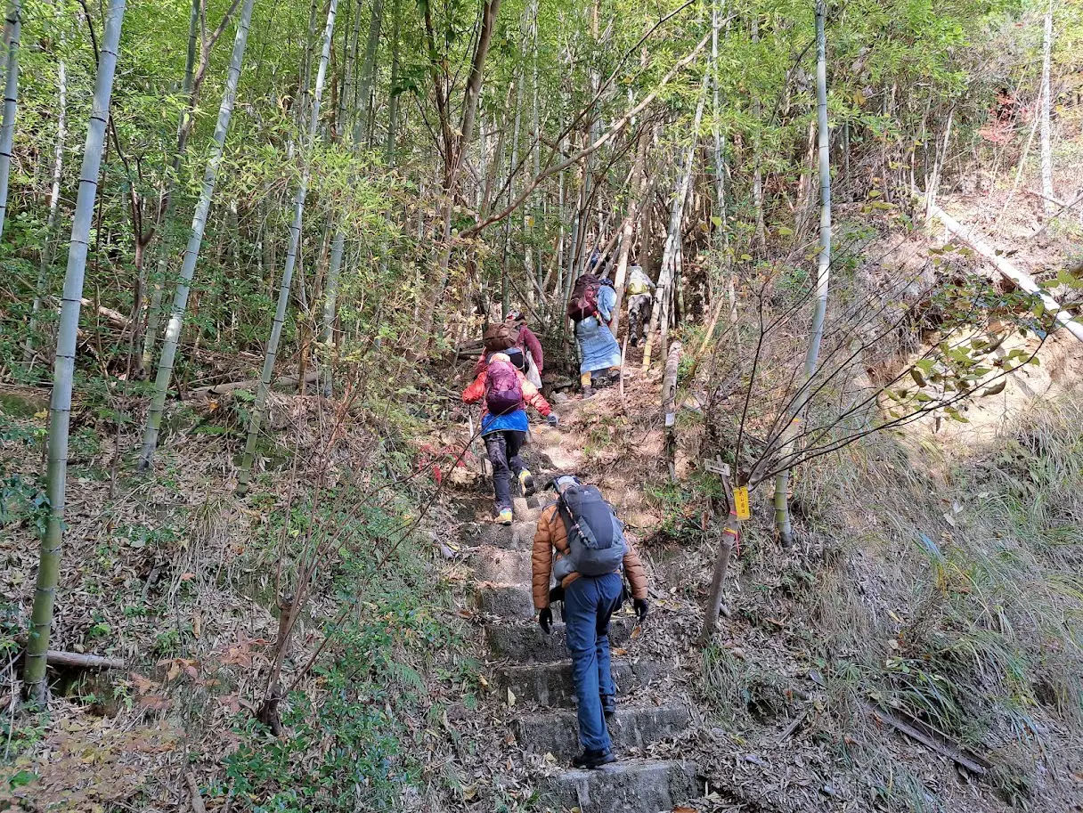 冬におすすめの知られざる絶景コース！草刈隊＠瀬戸コースNo22古観音山