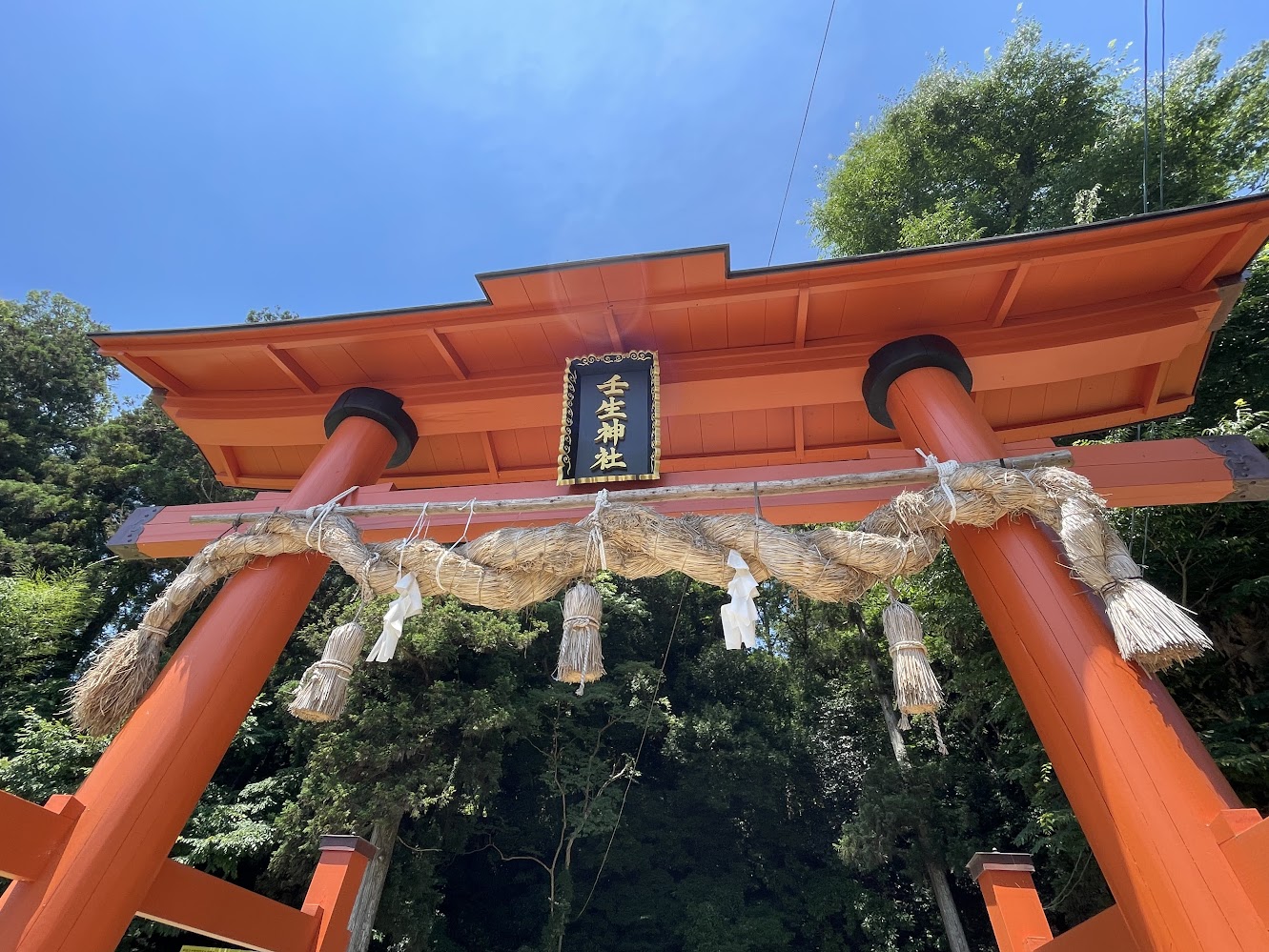 6/28（土）358.5峰（北広島町）最終探査！
