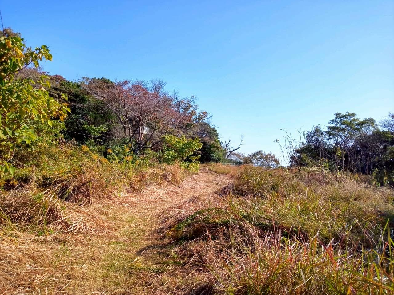 11/8（土）2人で向かったピンポイント整備にまさかの援軍！＠上山登山口・日招き像公園