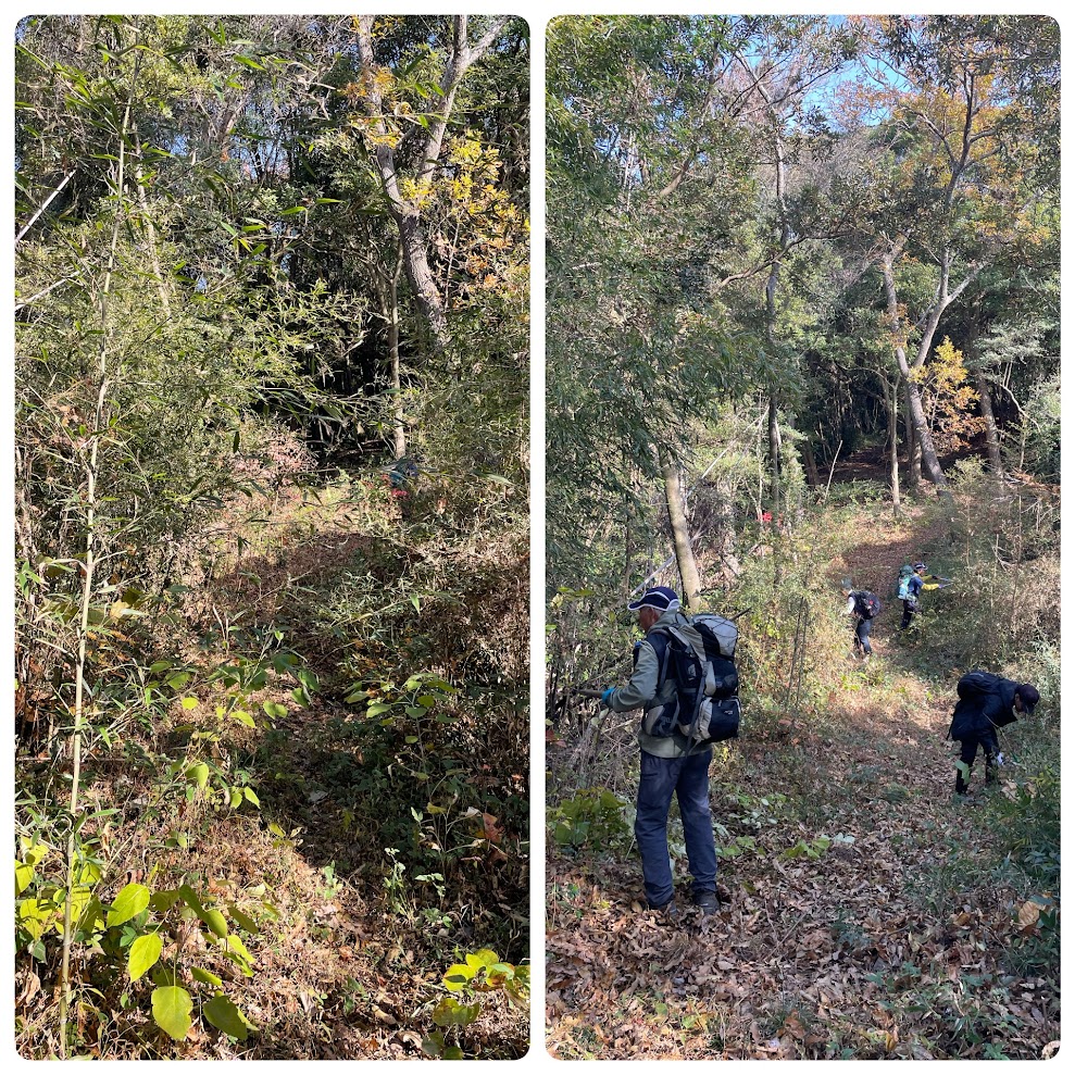 12/10（水）道が踏み固められるまでの道のりを…能美島option野登呂山～高松峠の前半