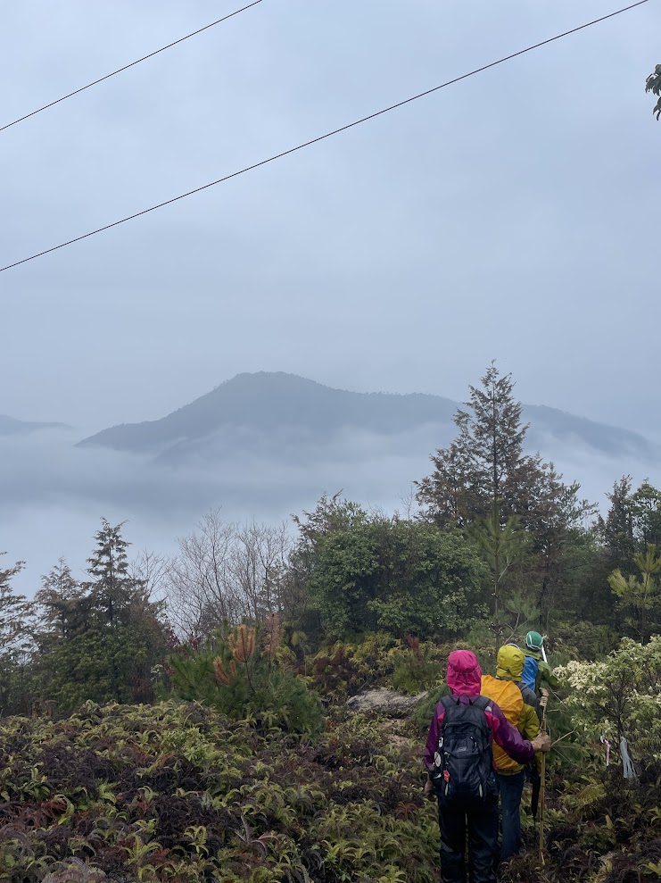 3/18(土)雨と倒木とロープ張り!大会コース整備VOL.19TAMADAスポーツランド近くの山道&三本木下り